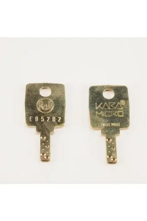 RAFI - 629-2004 - Processor keys Kara Micro EB5202. Package of 2. Express Delivery