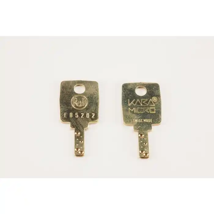 RAFI - 629-2004 - Processor keys Kara Micro EB5202. Package of 2. Express Delivery