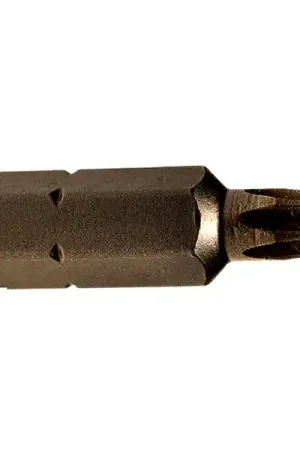 Next Day Delivery 1/4 Inch Drive #20 Torx Bit - Apex Tool Group