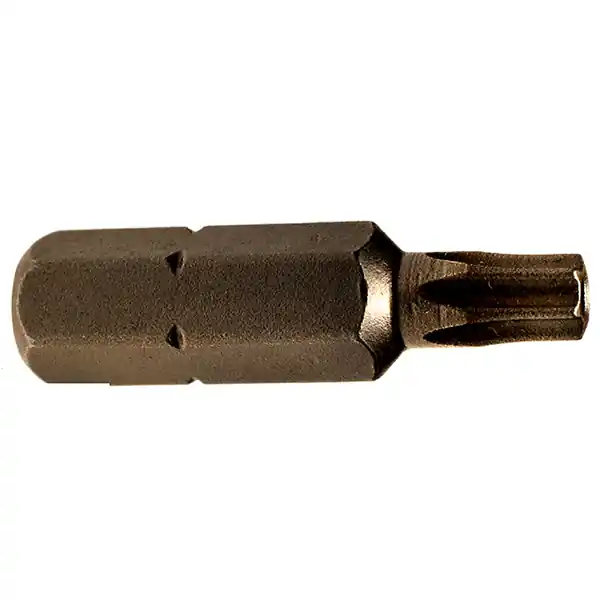 Next Day Delivery 1/4 Inch Drive #20 Torx Bit - Apex Tool Group