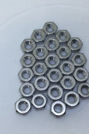 Modern Stainless Steel 1/4" Finished Hex Nut 304 Stainless Neam4x