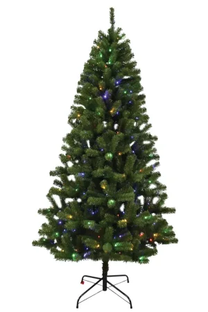 Hometown Holidays 10973 Christmas Tree, 7 ft H, Douglas Fir Family, CUL Adapter, Mini LED Bulb, White Light Certified
