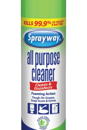 Sprayway SW5002R All-Purpose Cleaner, 19 oz Aerosol Can, Gas Modern