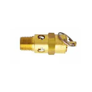 Milton Industries | 1090-125 | ASME Coded Safety Valve 125 PSI Save Now