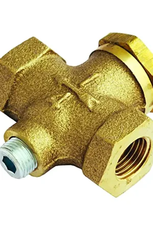 Affordable Milton Industries | S1093-4 | In-Line Check Valves 1/4" FNPT