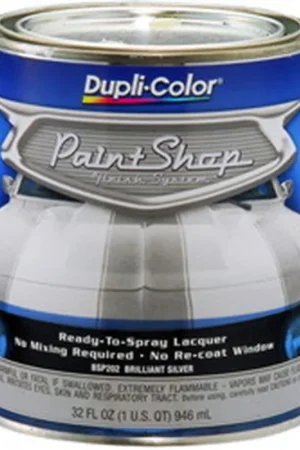 Buy Online Krylon | BSP202 | Brilliant Silver