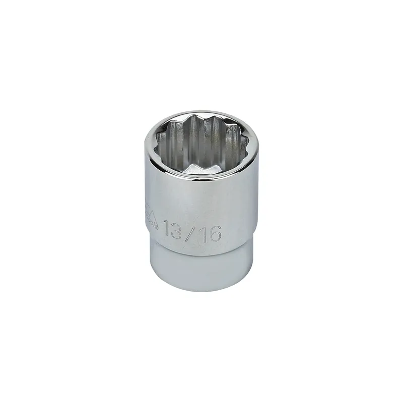 One Day Deal 13/16" - 1/2" Drive 12 Point Inch Socket